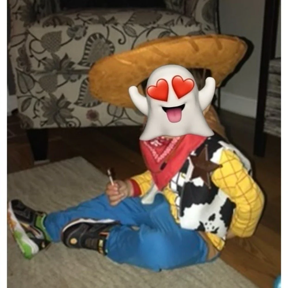 Toy Story Party Decorations and Woody Costume